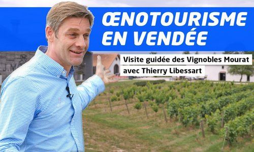 Œnotourisme en Vendée : à la découverte des Vignobles Mourat avec notre guide Thierry Libessart
