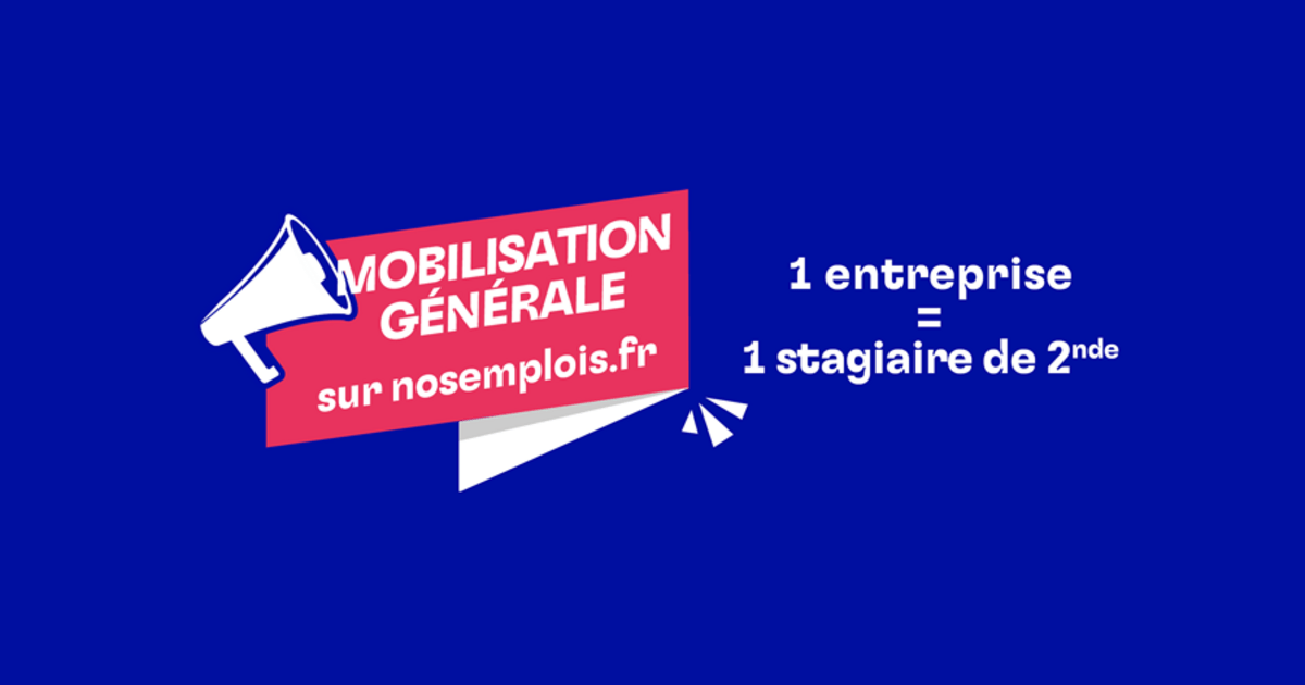 Des entreprises pour les stagiaires de 2nde Région Pays de la Loire